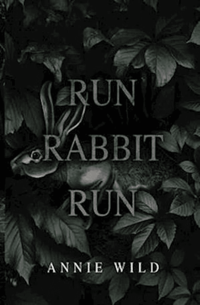 Run Rabbit Run by Annie Wild — book cover