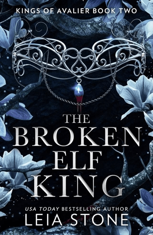 The Broken Elf King by Leia Stone — book cover