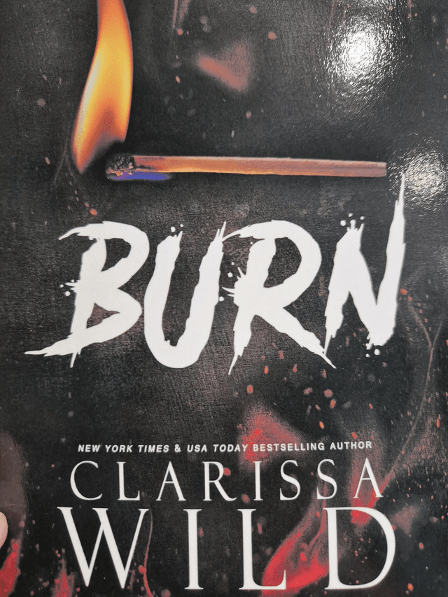Burn by Clarissa Wild — book cover