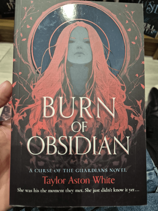 Burn of Obsidian by Taylor Aston White — book cover