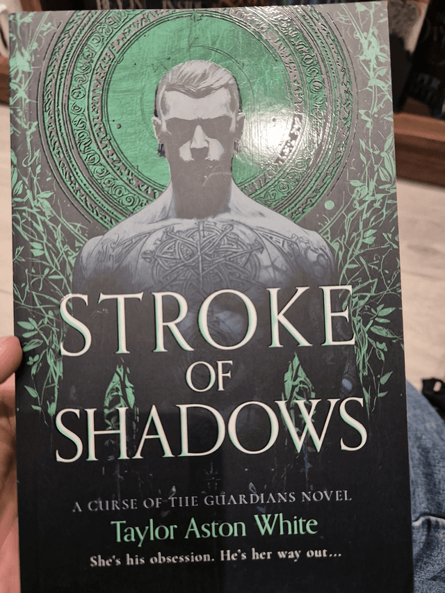 Stroke of Shadows by Taylor Aston White — book cover